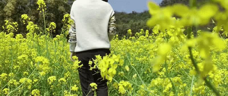 魔爪手机稳定器mini-s介绍,魔爪稳定器mini测评