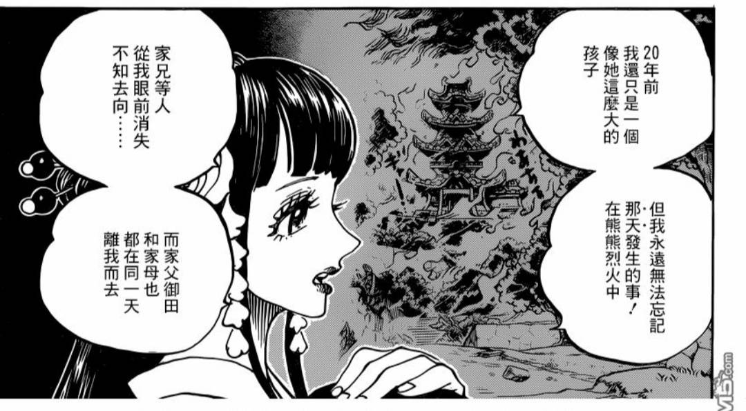 海贼王动画大结局,海贼王动画1076集预告片