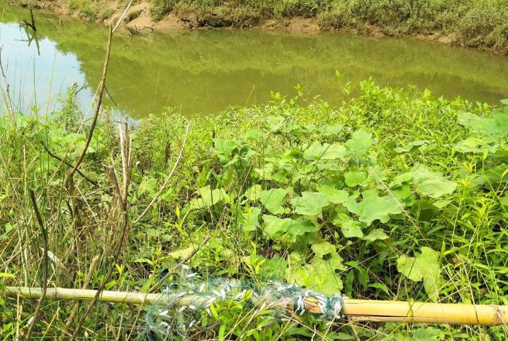 鱼塘养鱼的正确养殖方法有哪些,承包水库养鱼经济效益怎么样