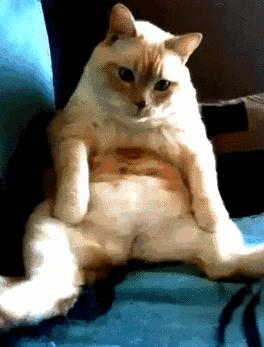 早晨一分钟快速排便方法,1分钟排便高效方法