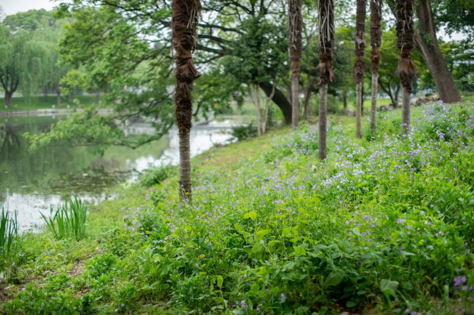 灏煎悍df3000,灏煎悍DF娴嬭瘎