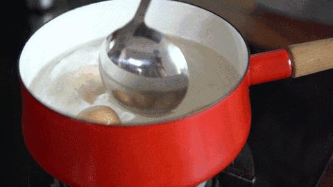 红皮鸡蛋和白皮鸡蛋哪个更有营养,红皮鸡蛋比白皮鸡蛋更有营养价值