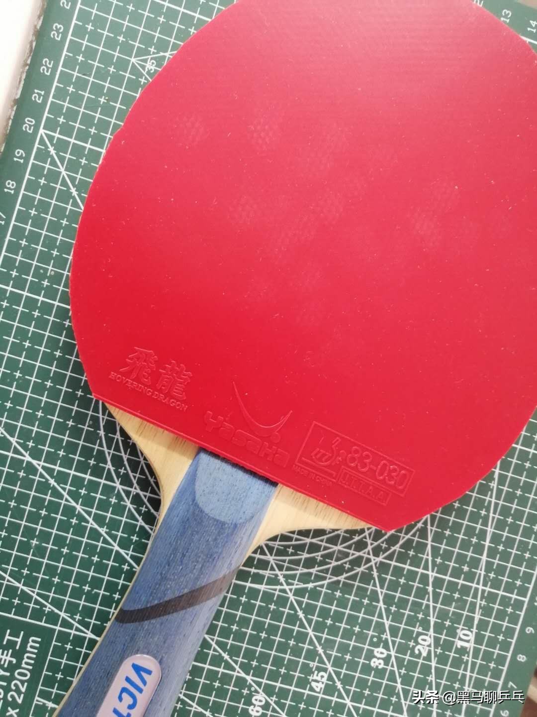 每周乒器观察57：大胖的“度数”，金标Vis，飞龙