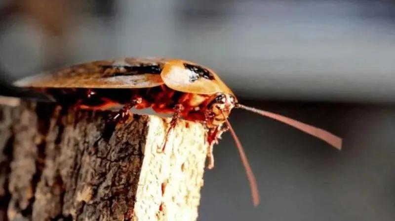 每天收到陌生人转账自己能花吗,不要轻易向陌生人转账后面是什么