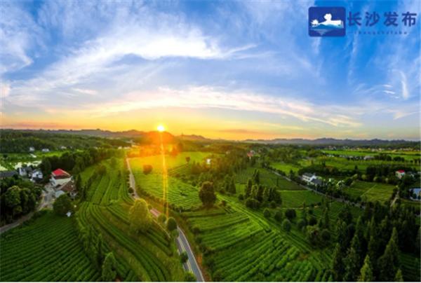 湘江评论2020,湘江评论自媒体