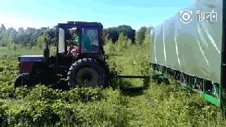 自动化的原理究竟是什么,神奇的自动化原理