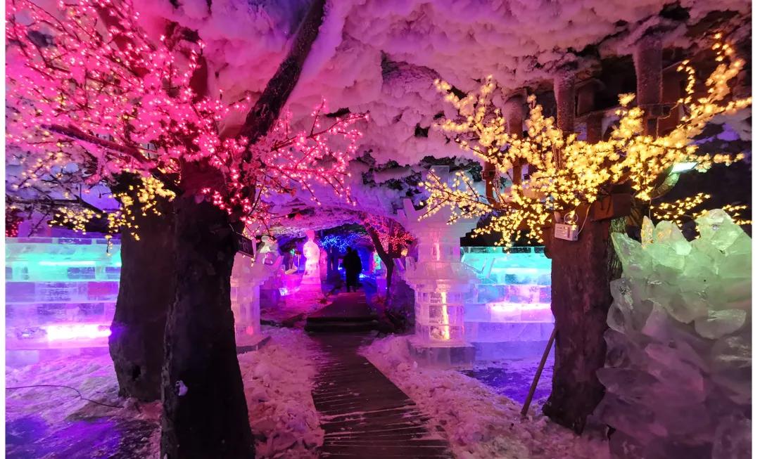 夏季黑河旅游攻略,夏季黑河旅游