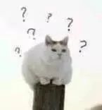 关于EGC身为铲屎官的你知多少？各种皮肤病都可能是EGC！