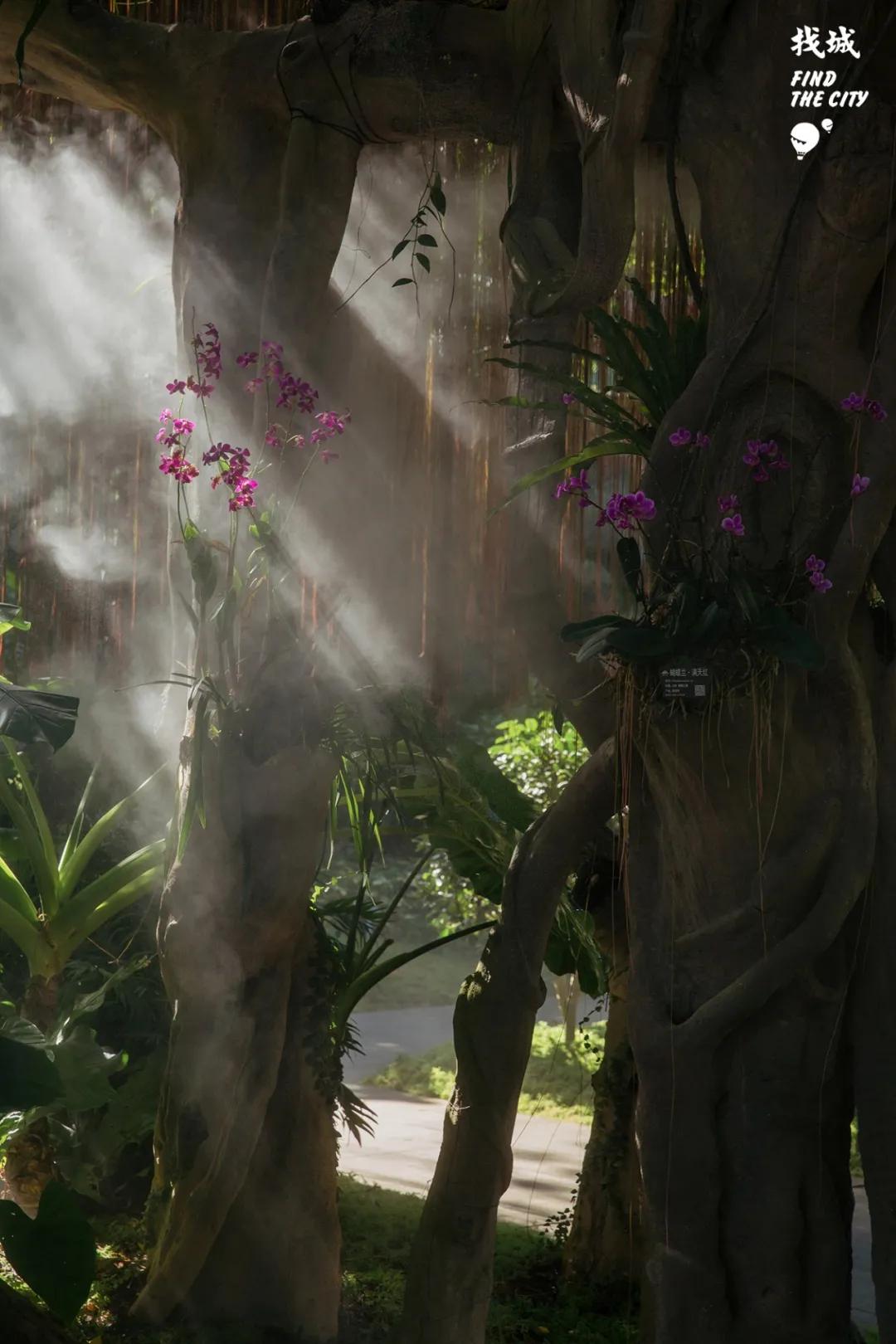 南宁人去隆安玩,南宁人去柳州玩