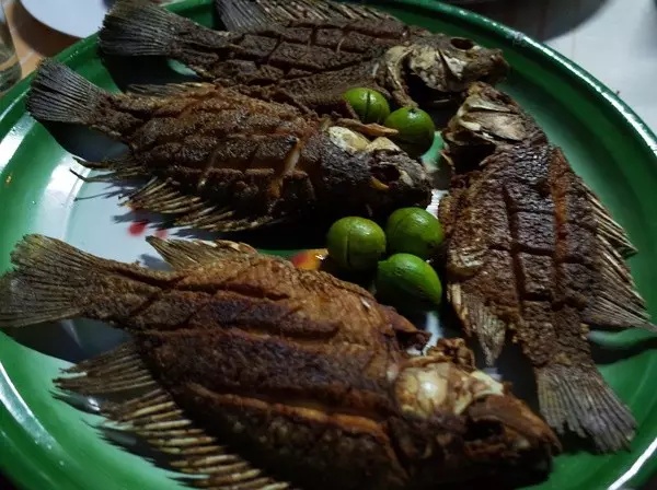 在埃塞俄比亚吃什么，对非洲美食没抱任何期待，甚至带着一丝恐惧