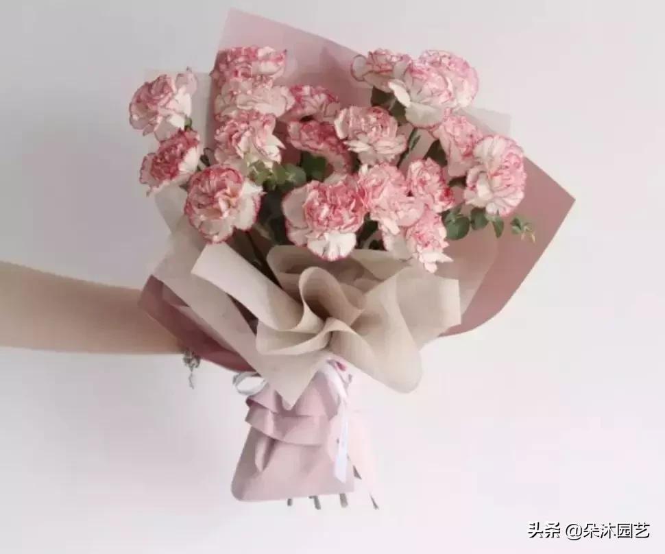 母亲节花束康乃馨用什么样的,母亲节花束红色康乃馨款式图片