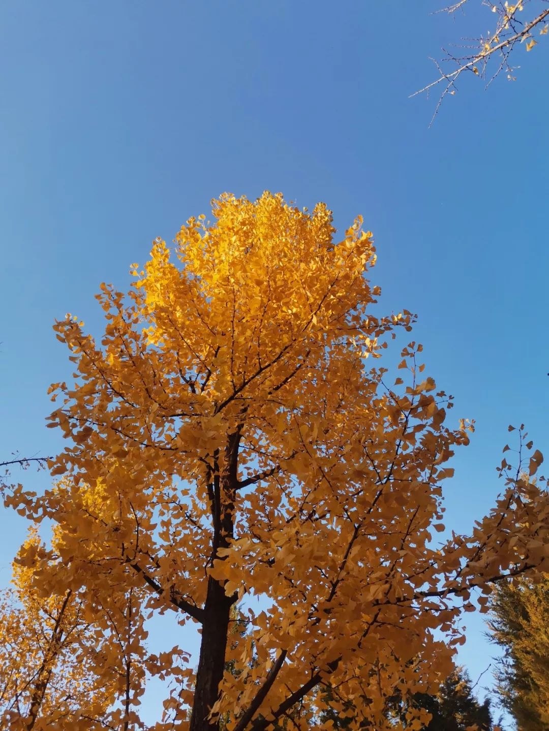 遇见香炉峰日落,2019抓住秋天的尾巴