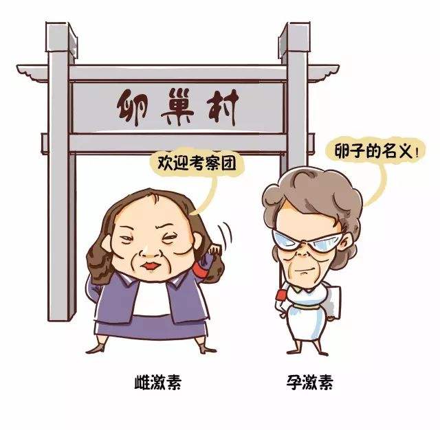 真相大爆炸：当孕妈遭遇*梦春**，宫缩现象要注意