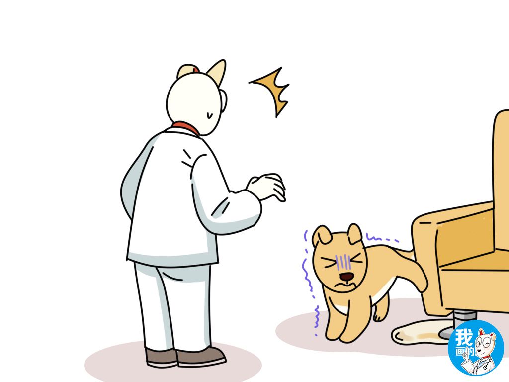 辟谣狗狗真的不能喝牛奶吗,辟谣狗狗每年不需要打预防针