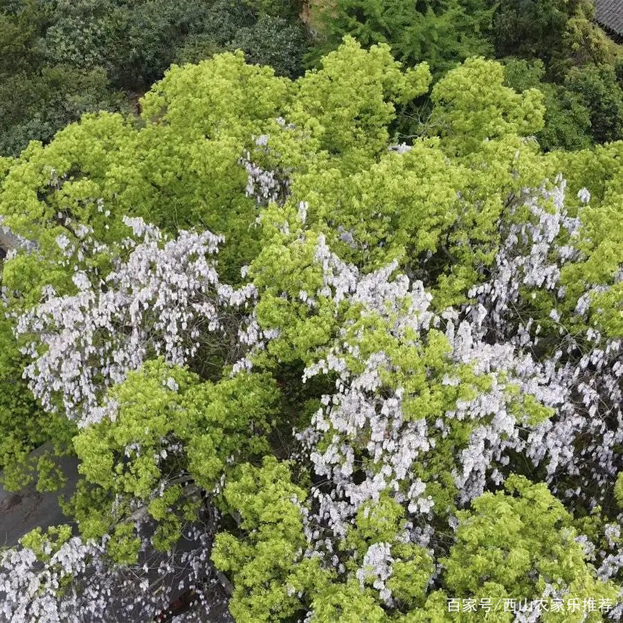 苏州西山免费打卡,苏州东山风景区网红打卡
