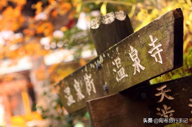 志贺高原到长野,志贺高原住宿攻略