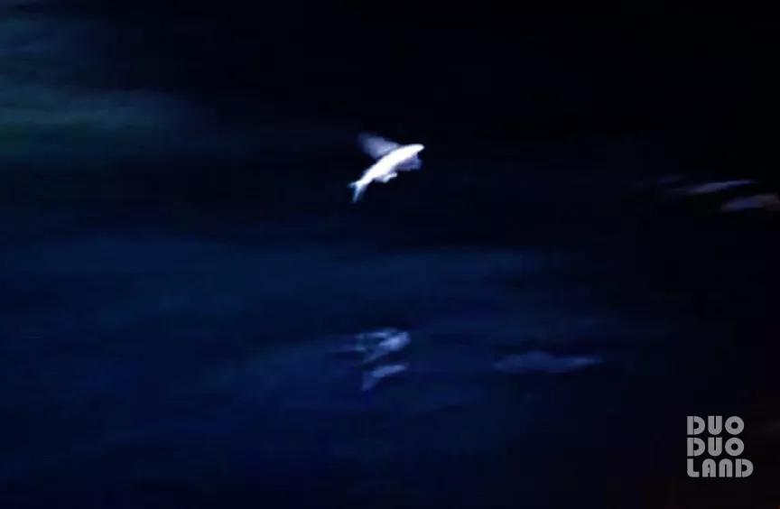 多·样|Evelyn:那些来自大自然的馈赠,原来都在旅行的日子里