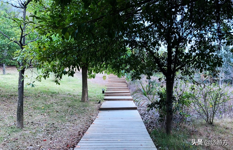 厦门海悦山庄酒店平面图,厦门海悦山庄旅游详解