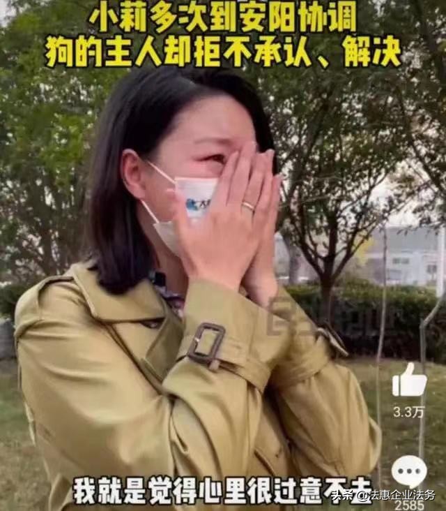 巨型贵宾犬伤人事件：孤立无援的普通人该如何救济？