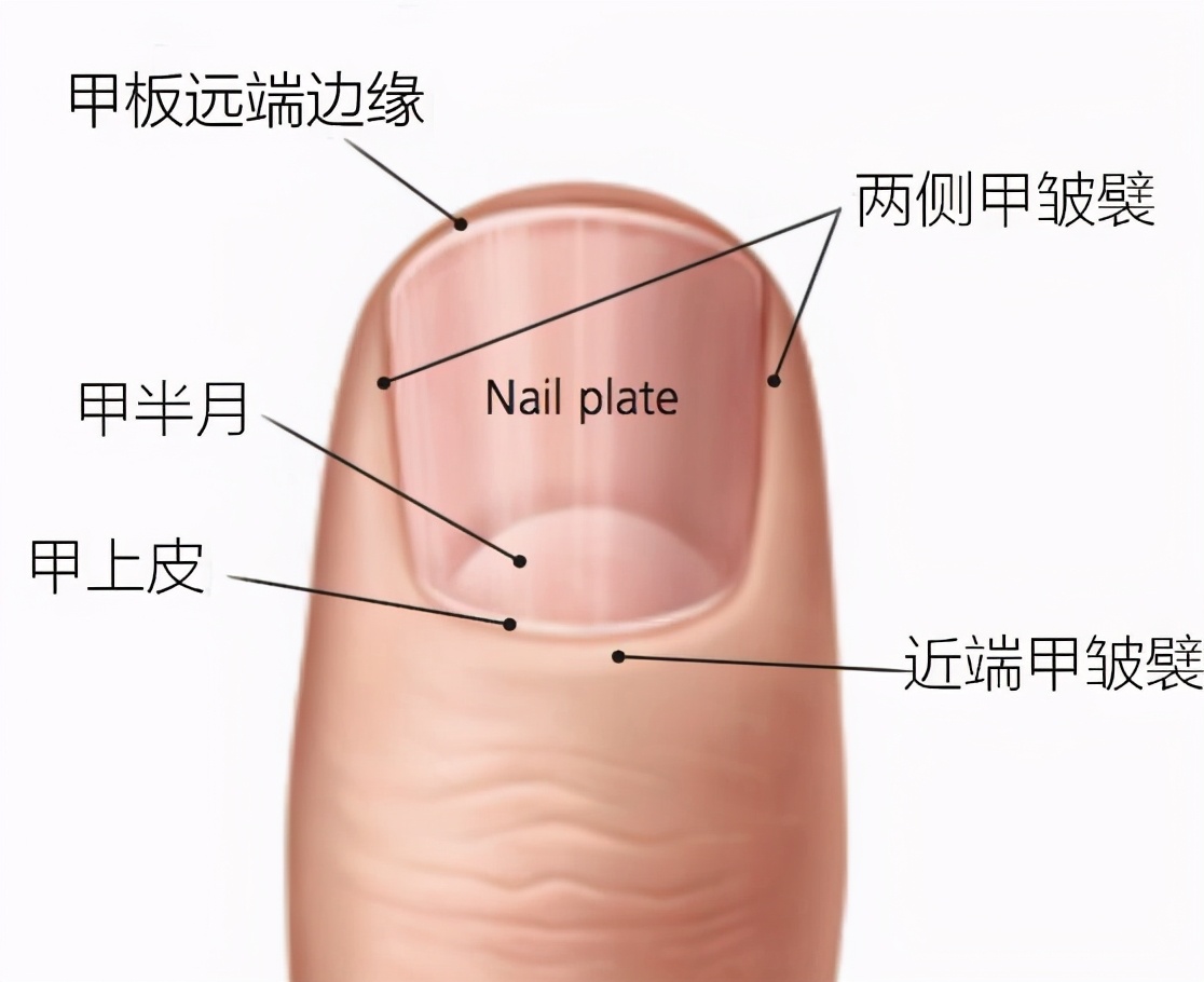 专家谈疑病症,专家谈皮肤病
