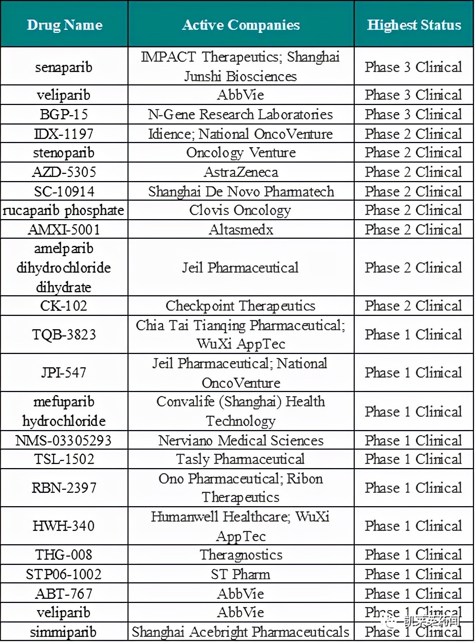 聚焦药靶：PARP*制剂抑**，不可不知的肿瘤靶向药