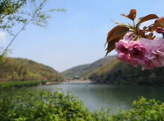 不负假期不负青春,不负韶光享受春日