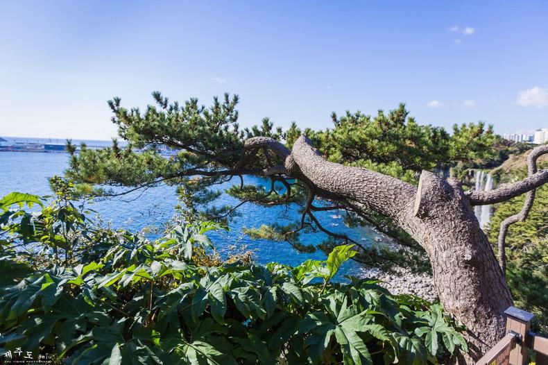 济州岛四天三夜旅行攻略,3天2夜济州岛旅行