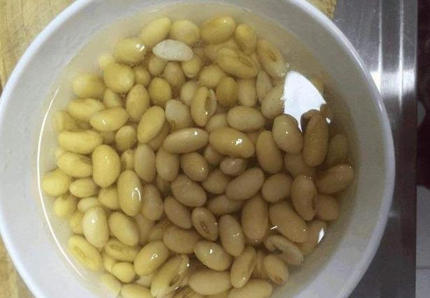 养绿萝，埋上几粒“煮豆豆”，胜过养花肥，油光锃亮爬满墙