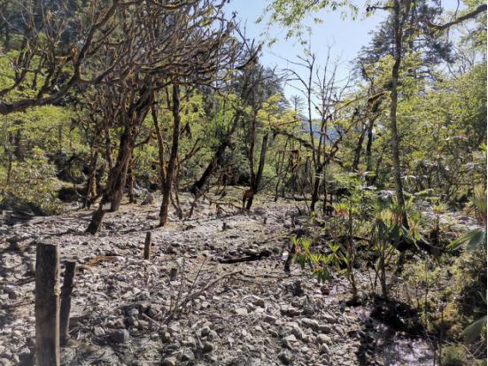 海螺沟燕子沟四日游,海螺沟燕子沟风景区