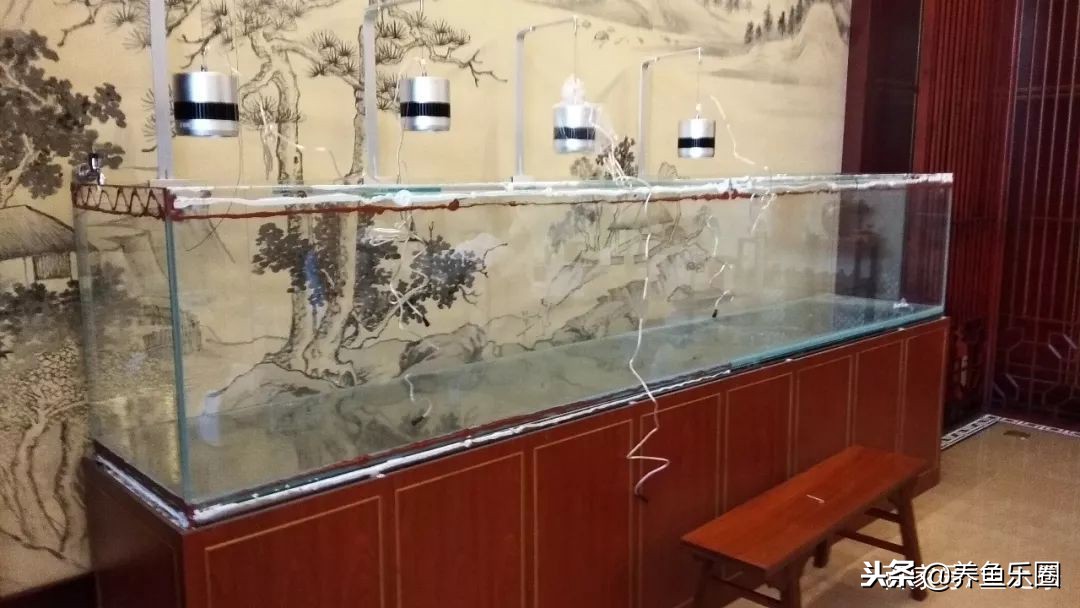 这位土豪家的渔场,光滤材就花了500多万,你确定不要见识一下?