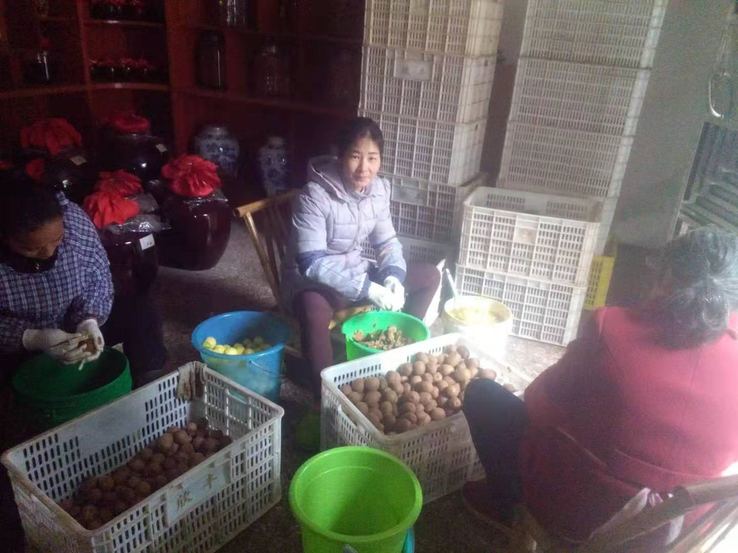 葡萄酒之酵母发酵技术