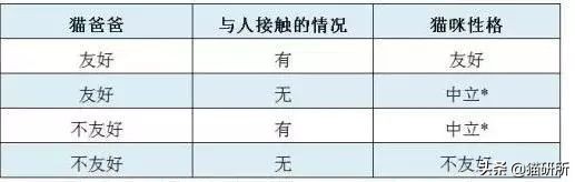 喜马拉雅猫性格特征,性格比较好的猫品种有哪些