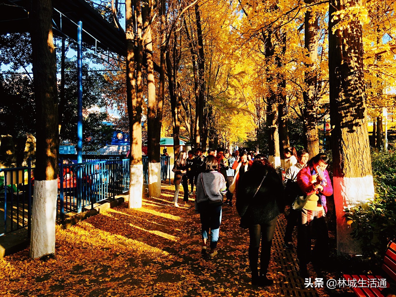 贵阳青岩古镇一日游玩,贵阳小七孔一日游费用