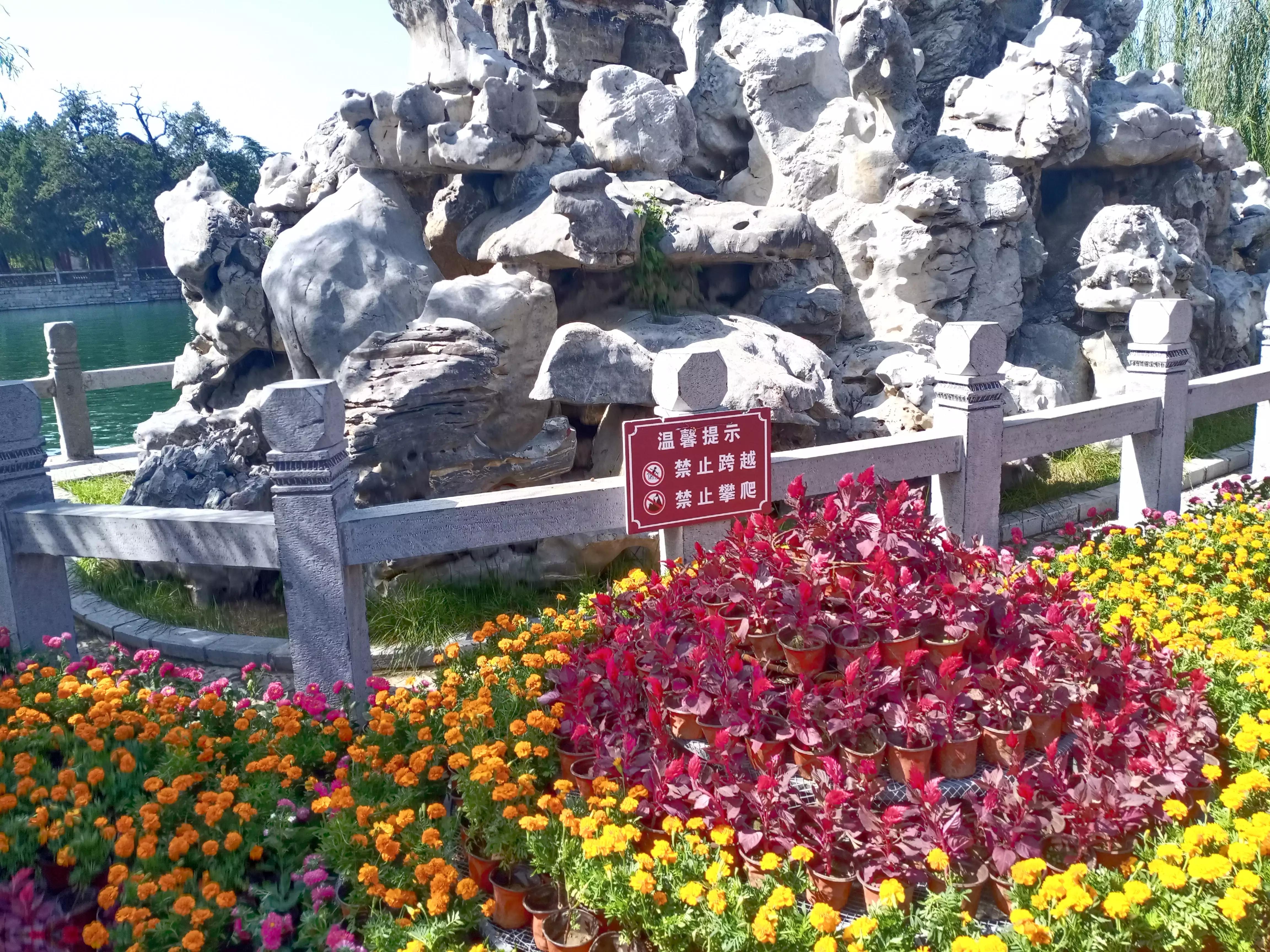 寻母路弯弯,小说连载二借腹生子