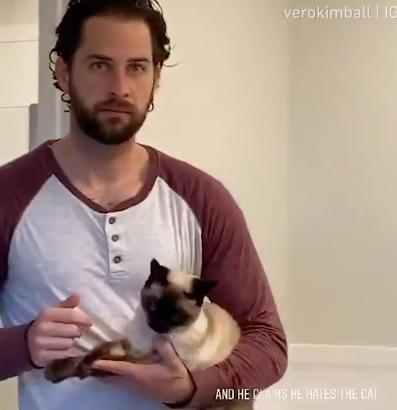 养猫会给家庭带来快乐,养猫会给人带来的好运