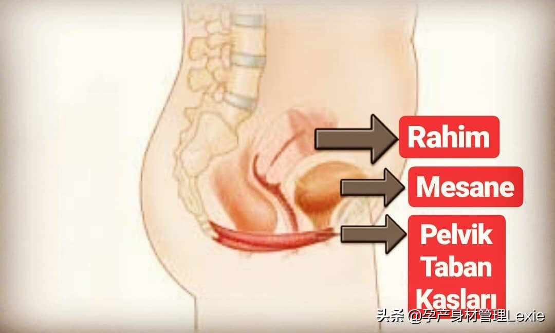 kegel运动正确方法视频,kegel正确锻炼方法