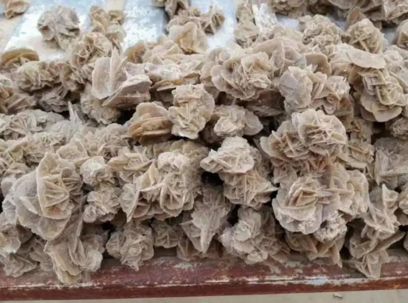 在沙漠中见到石头一定要捡起来,为何在沙漠看到石头必须捡起来