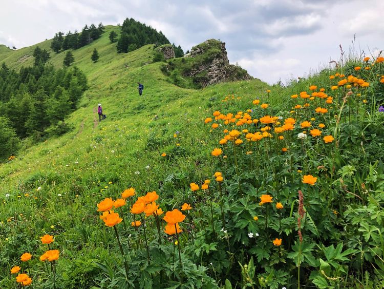小五台山哪里进入景区,小五台山春天景色