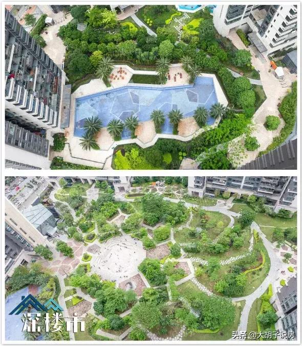 深圳的这个区域，为什么被看好？