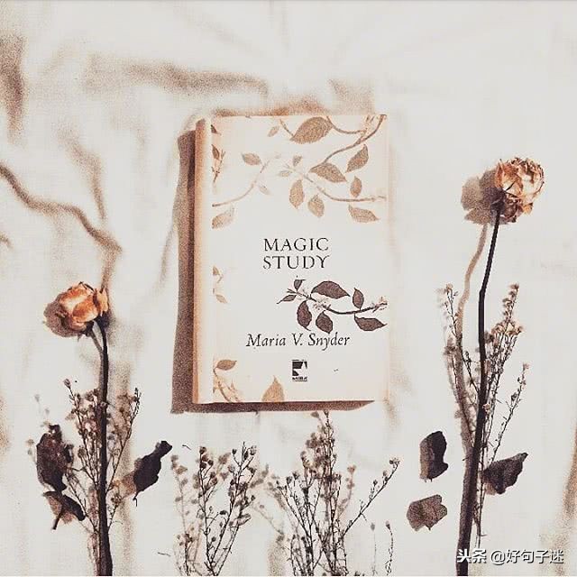 最新个性签名句句经典字字精辟,20句经典个性签名总有一句适合你