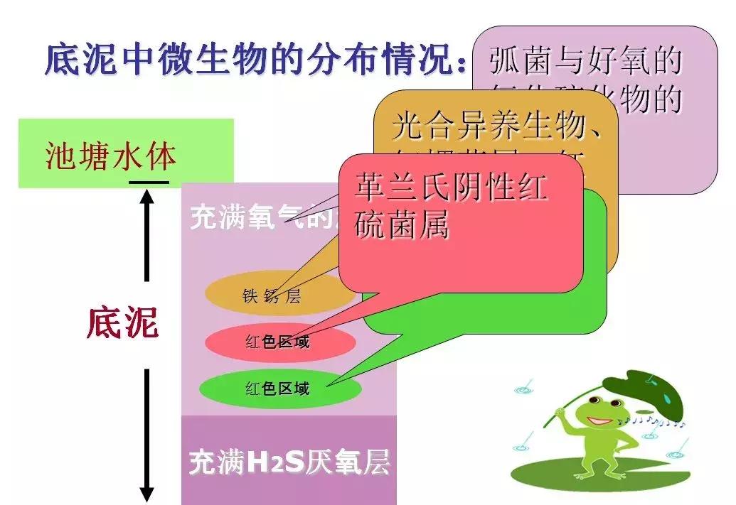 em菌菌种批发价格品牌,EM菌种