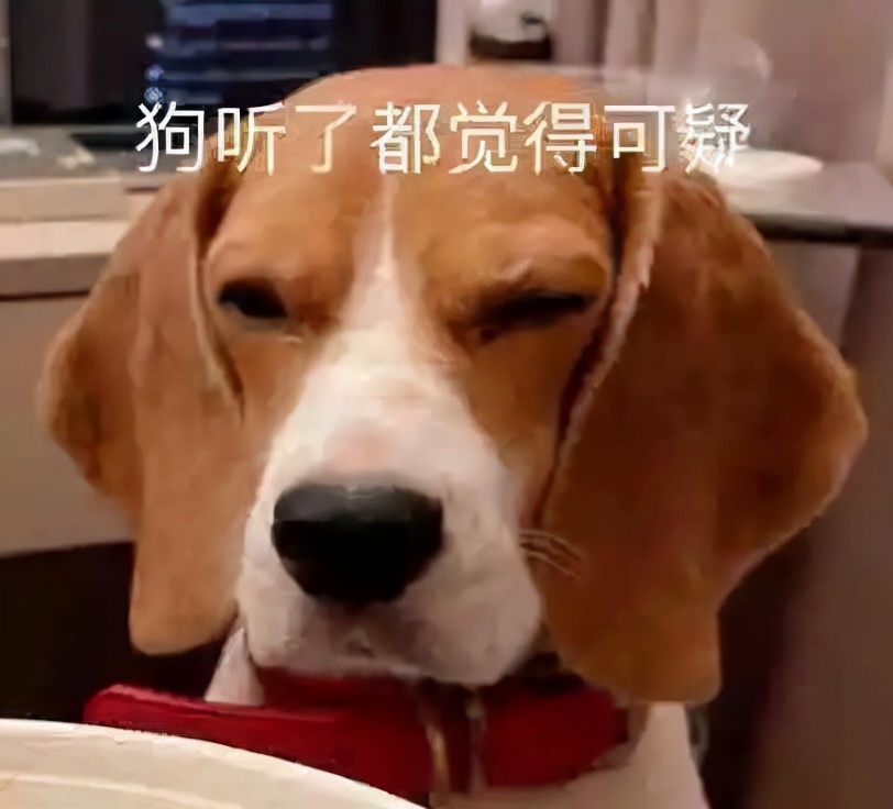 ofo在哪里退押金,ofo的押金开始退钱了吗