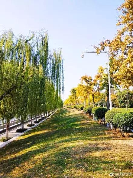 郑州周边适合春天去的地方,郑州适合骑行的公园