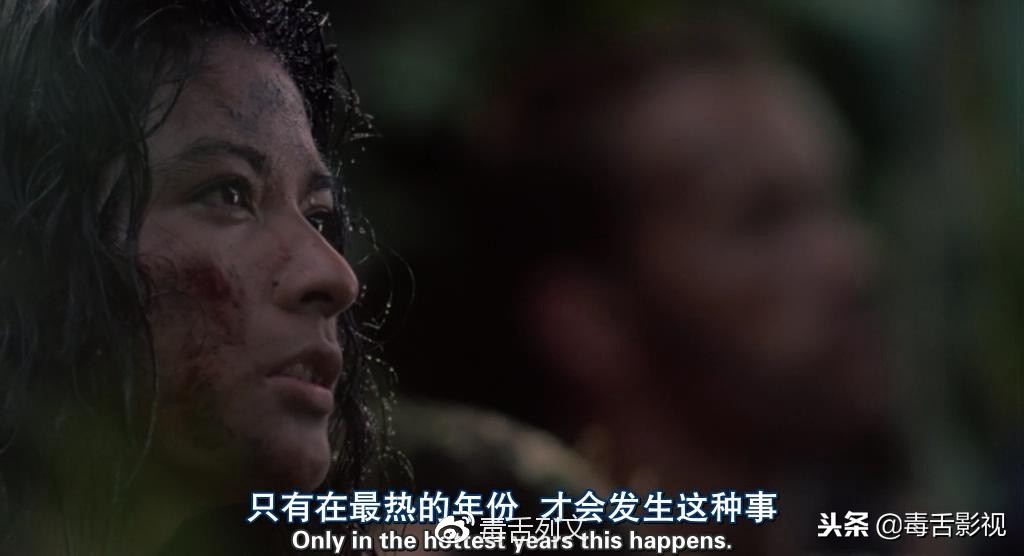 铁血战士哪几部值得看 (铁血战士深度解析)