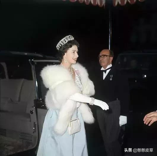 真假皮草区别是什么如何辨认,貂毛皮草真假怎么辨别