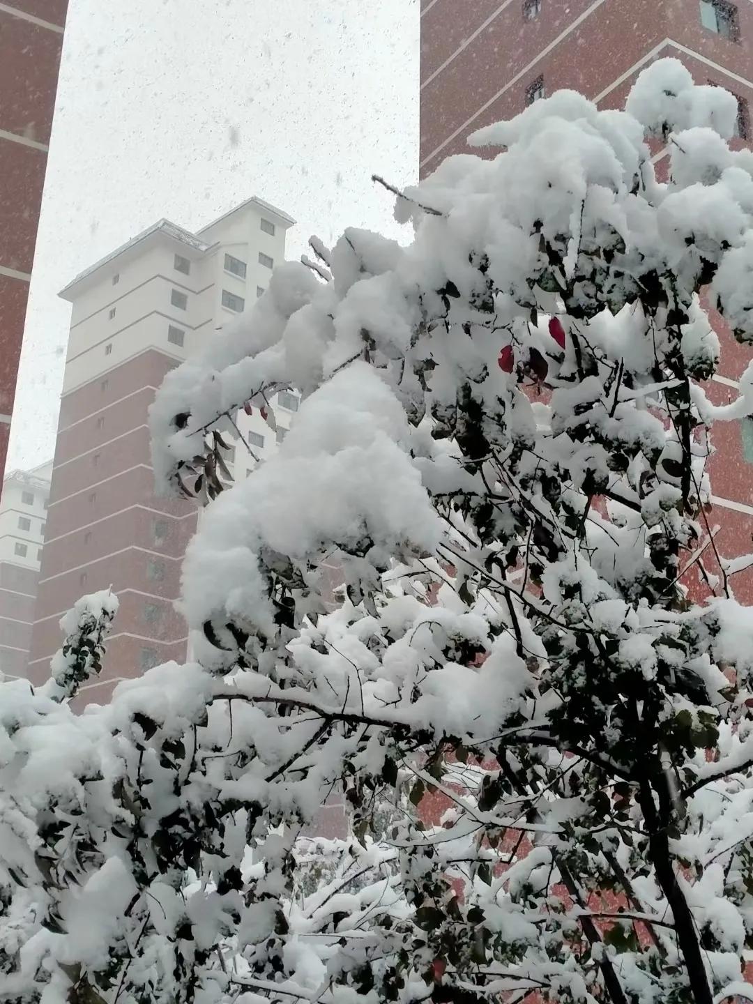 平凉崆峒区四路车现在停运了吗,平凉长途客车停运了吗