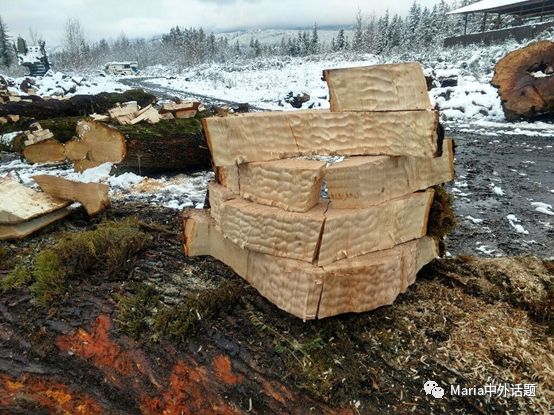 美国硬木干货价格,北美硬木排行