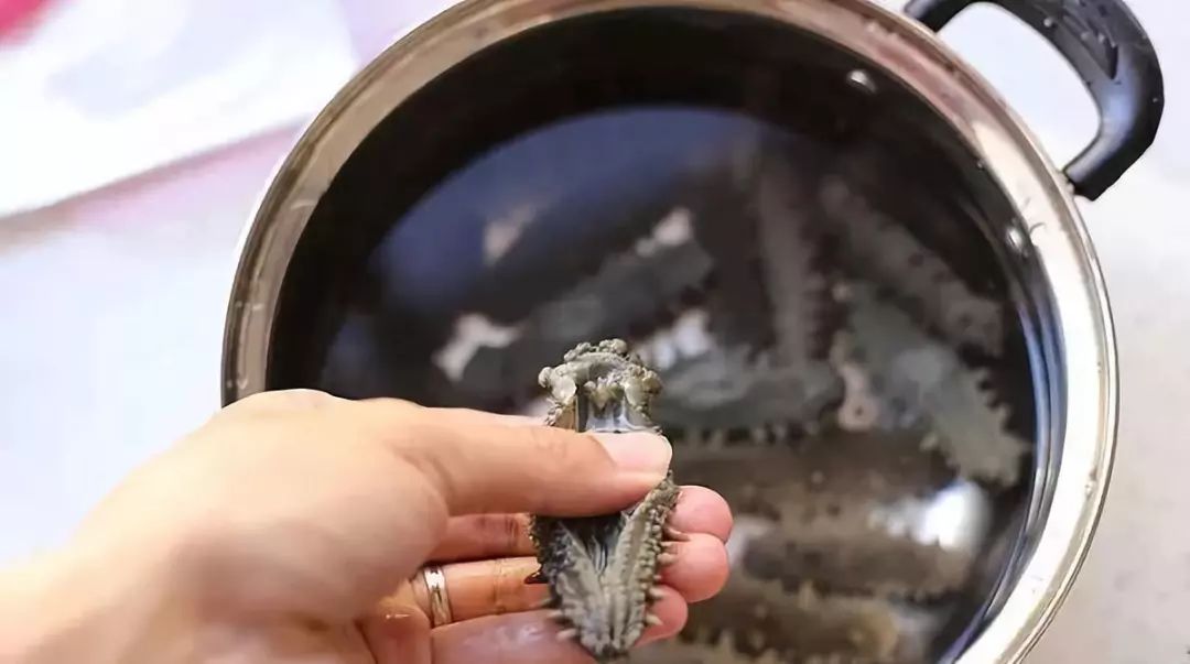 最新海参泡发教程,最有效的海参泡发方法视频教程