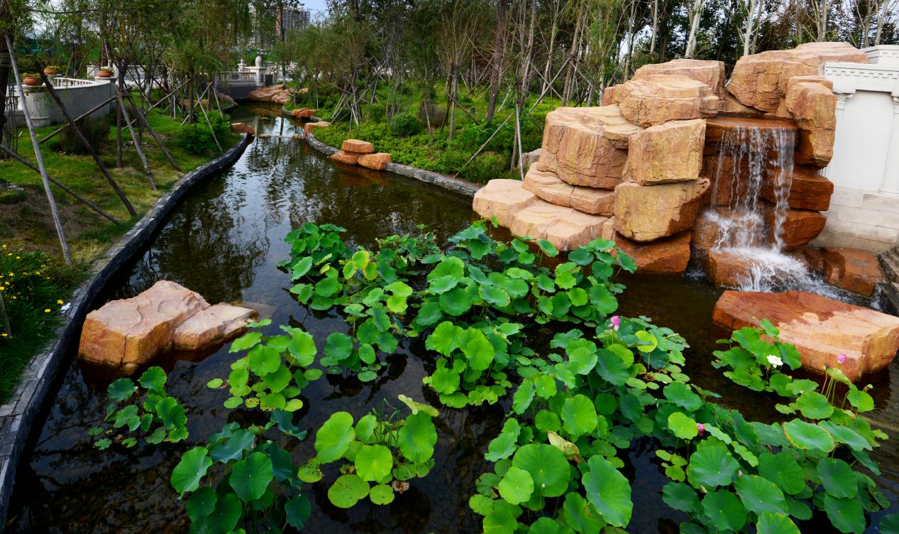 高新楼盘天茂湖,天茂湖高新