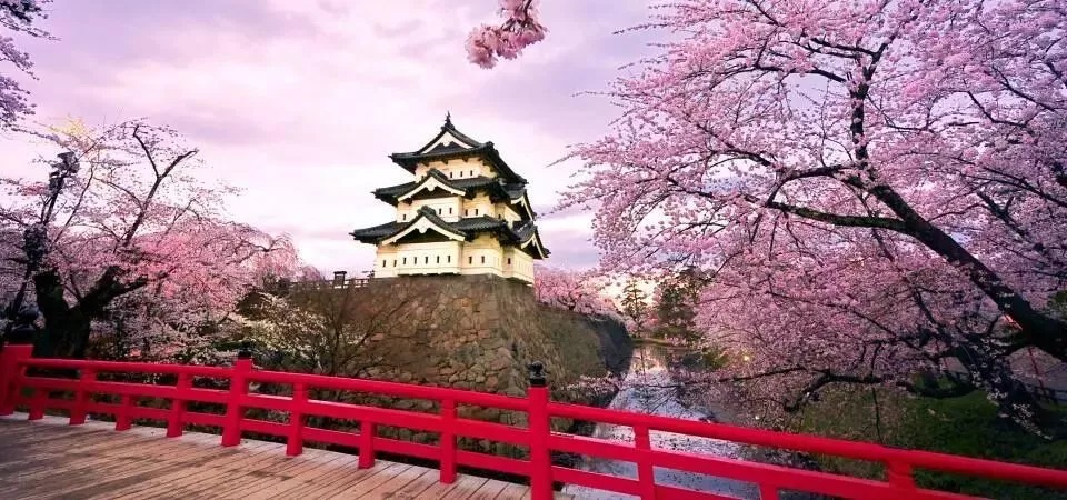 彭于晏过海关完整视频,彭于晏过海关被罚